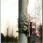 NETHERWOOD NJ STANDPIPE PLAINFIELD WATER SUPPLY CO. 1908 ANTIQUE POSTCARD