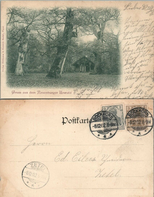 GRUSS AUS DEM REUENBURGER URWALD GERMANY ANTIQUE POSTCARD