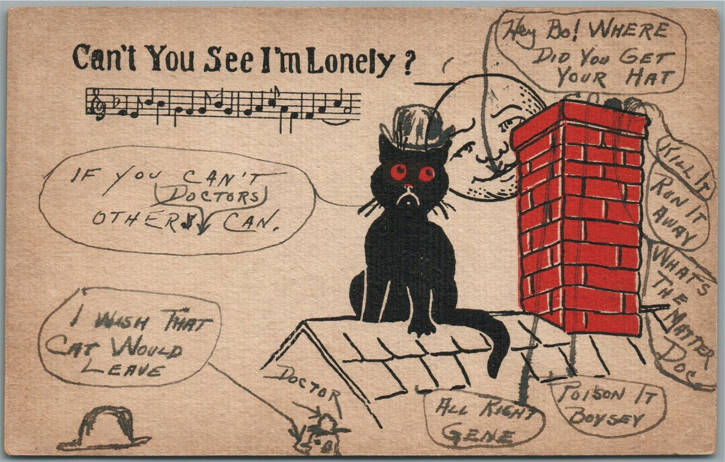 BLACK CAT COMIC 1907 ANTIQUE POSTCARD CAN'T YOU SEE I AM LONELY ?