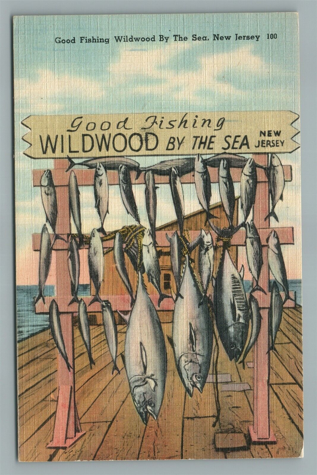 WILDWOOD ON THE SEA GOOD FISHING VINTAGE POSTCARD