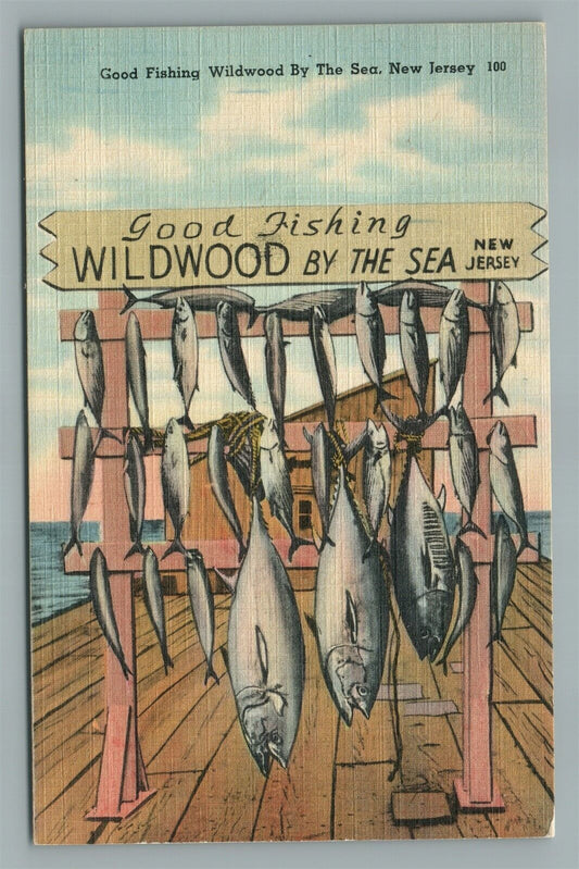 WILDWOOD ON THE SEA GOOD FISHING VINTAGE POSTCARD