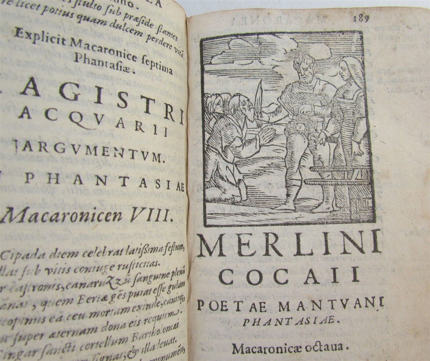 1585 ILLUSTRATED MACARONIC POETRY MERLINI COCAII antique 16th CENTURY