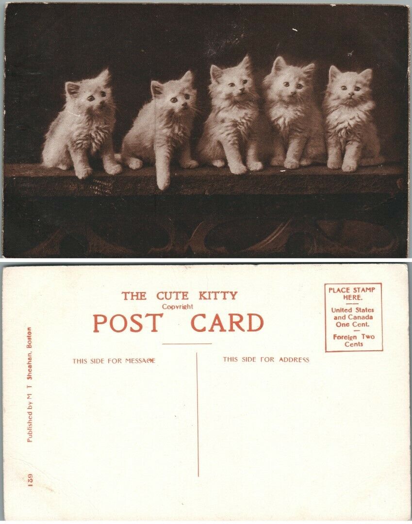 ANTIQUE UNUSED POSTCARD - THE CUTE KITTY cats