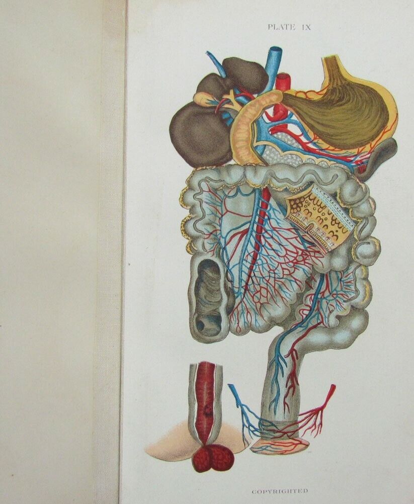 1909 GYNECOLOGICAL PLATES antique leather bound