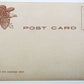 VINTAGE UNDIVIDED POSTCARD BATTERY PARK NEW YORK