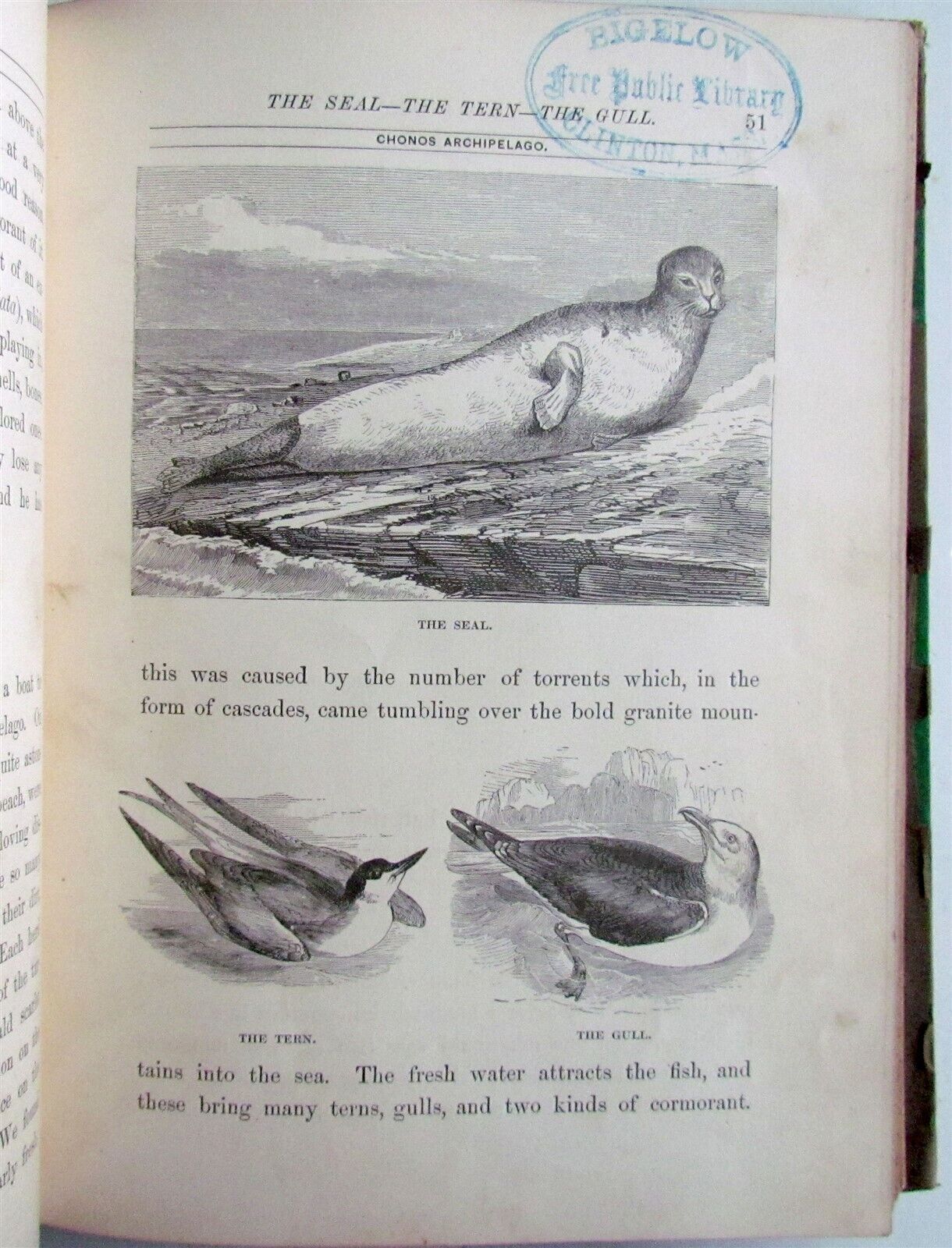 1880 WHAT MR. DARWIN SAW IN HIS VOYAGE ROUND THE WORLD IN SHIP BEAGLE ANTIQUE