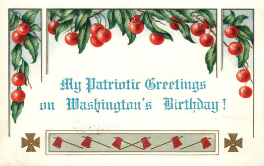 WASHINGTON'S BIRTHDAY GREETINGS 1917 ANTIQUE PATRIOTIC POSTCARD