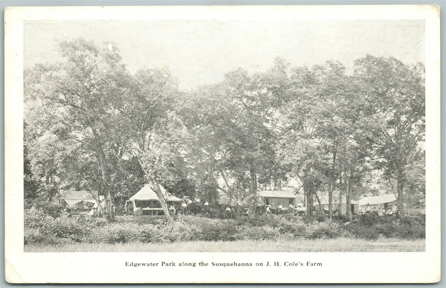 EDGEWATER PARK PA BUCKS COUNTY J.H.COLE'S FARM ANTIQUE POSTCARD