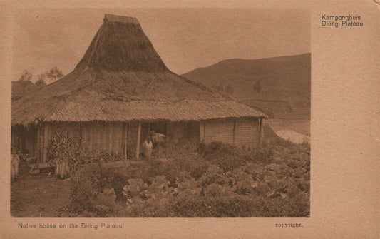 INDONESIA JAVA NATIVE HOUSE ON DIENG PLATEU VINTAGE POSTCARD