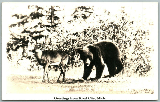 REED CITY MI DEER & BEAR 1941 VINTAGE REAL PHOTO POSTCARD RPPC PHOTOMONTAGE