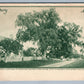 NEWBURYPORT MA NEWBURY STERLING SILVERWARE TOWLE MFG COMPANY ANTIQUE POSTCARD