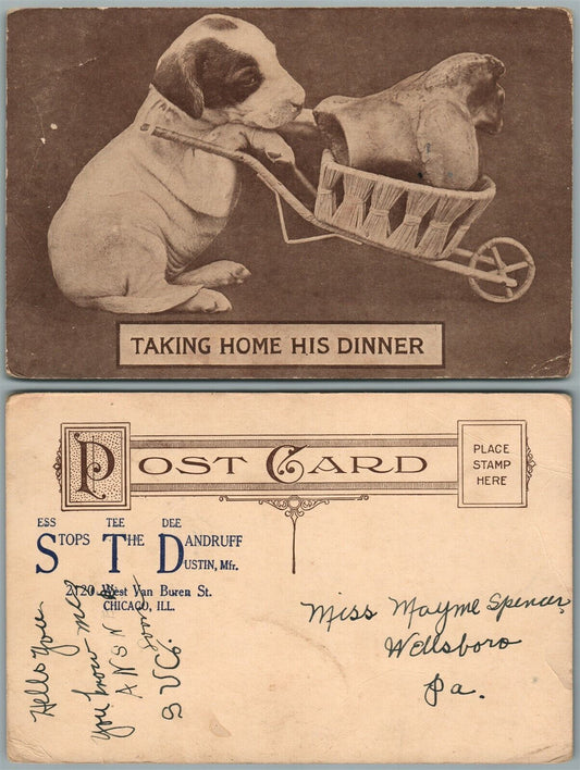 Dandruff Dustin Mfr. Chicago IL ADVERTISING ANTIQUE POSTCARD DOG CUTE PUPPY