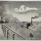 ANTIQUE 1909 POSTCARD CRESCENT PARK & OSWEGATCHIE RIVER OGDENSBURG N.Y.