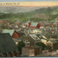 MANAHOY CITY PA PANORAMA ANTIQUE POSTCARD