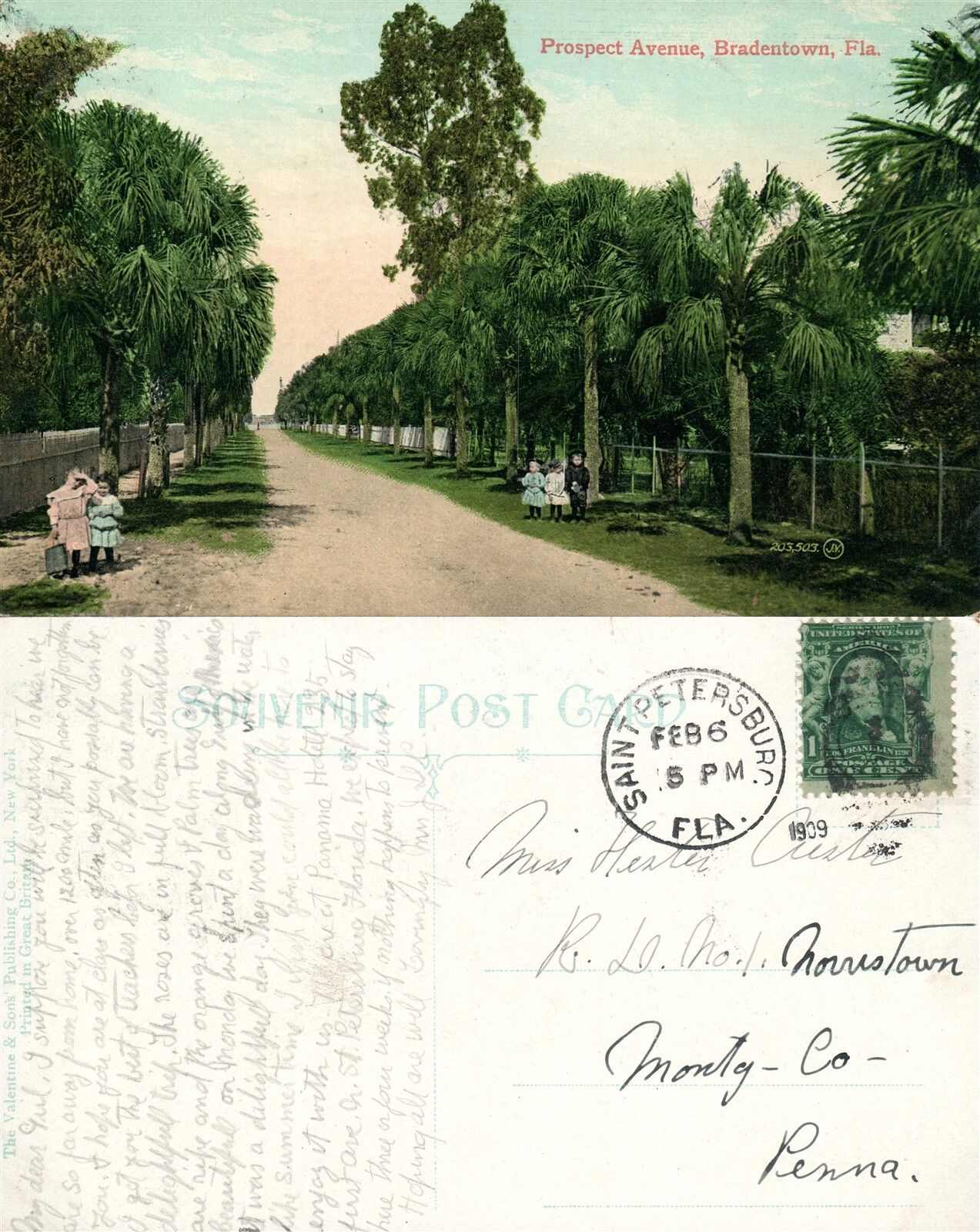 BRADENTOWN FL PROSPECT AVENUE 1909 ANTIQUE POSTCARD