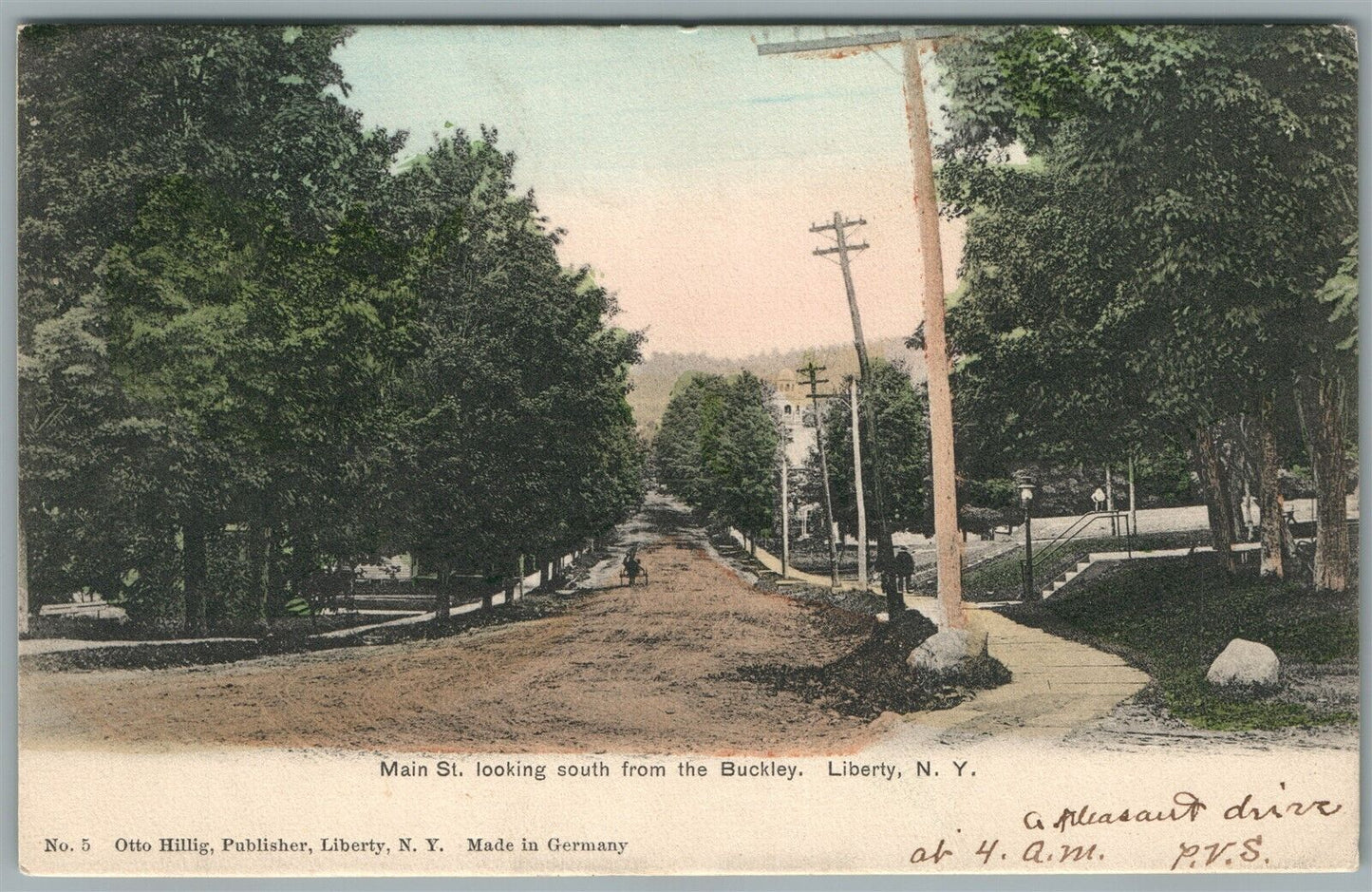 LIBERTY NY MAIN STREET ANTIQUE POSTCARD