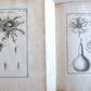 1700 BOTANY ILLUSTRATED 3 VOLUMES TOURNEFORT INSTITUTIONES REI HERBARIAE antique