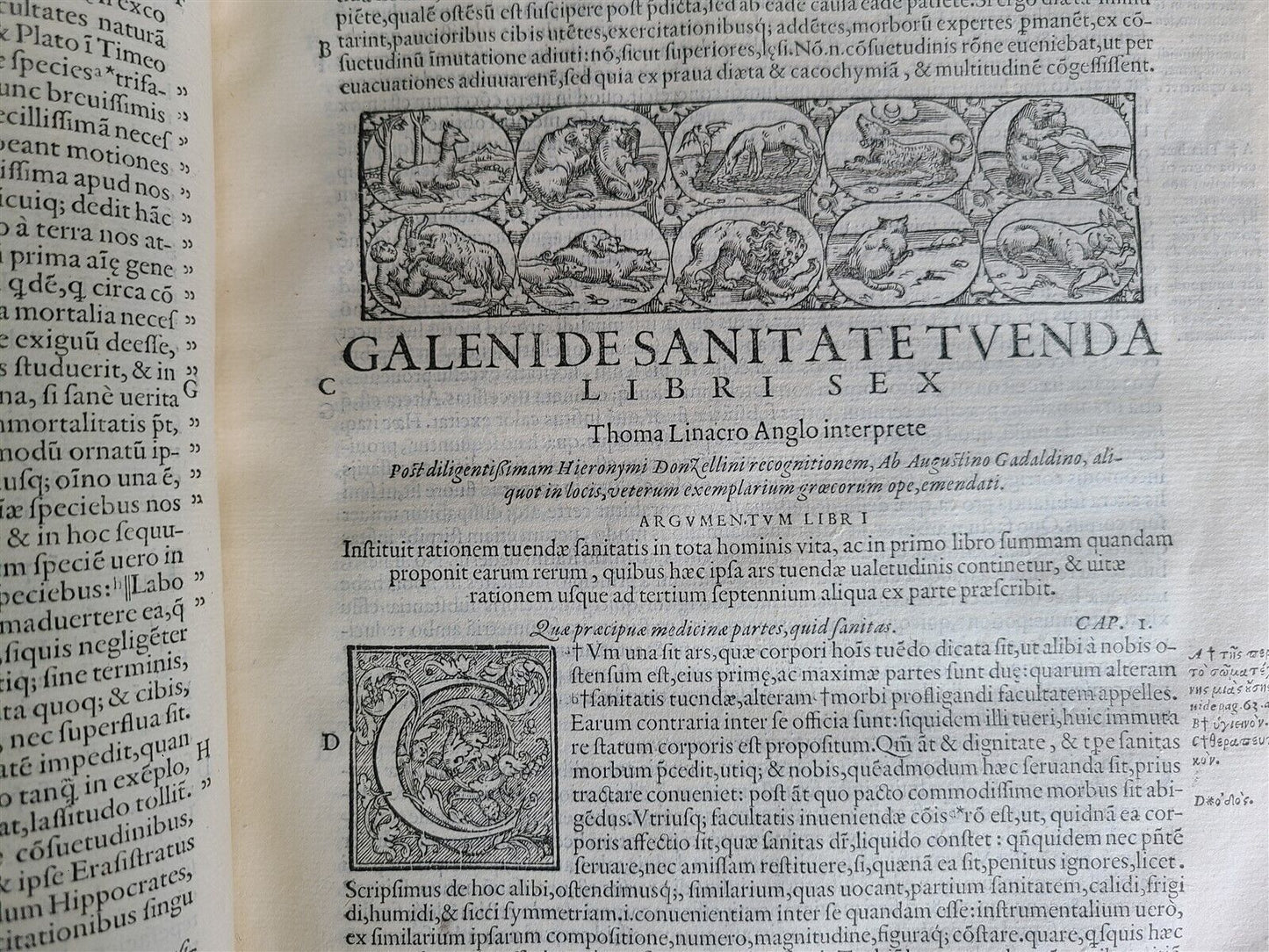 1586 RENAISSANCE EDITION OF GALEN antique FOLIO 16th century FAMOUS MEDICAL WORK