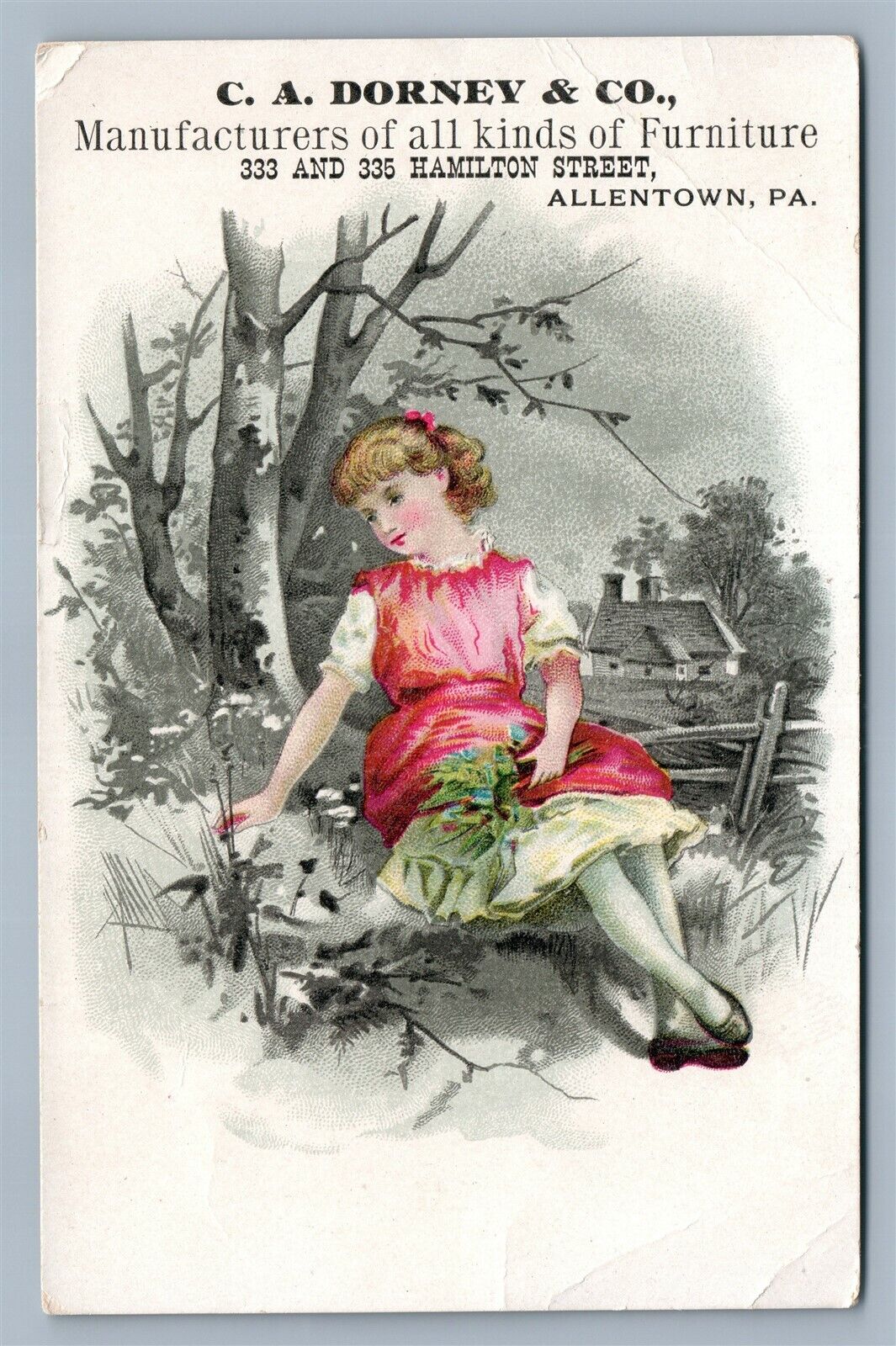 VICTORIAN TRADE CARD C.A. DORNEY & Co. FURNITURE ALLENTOWN PA