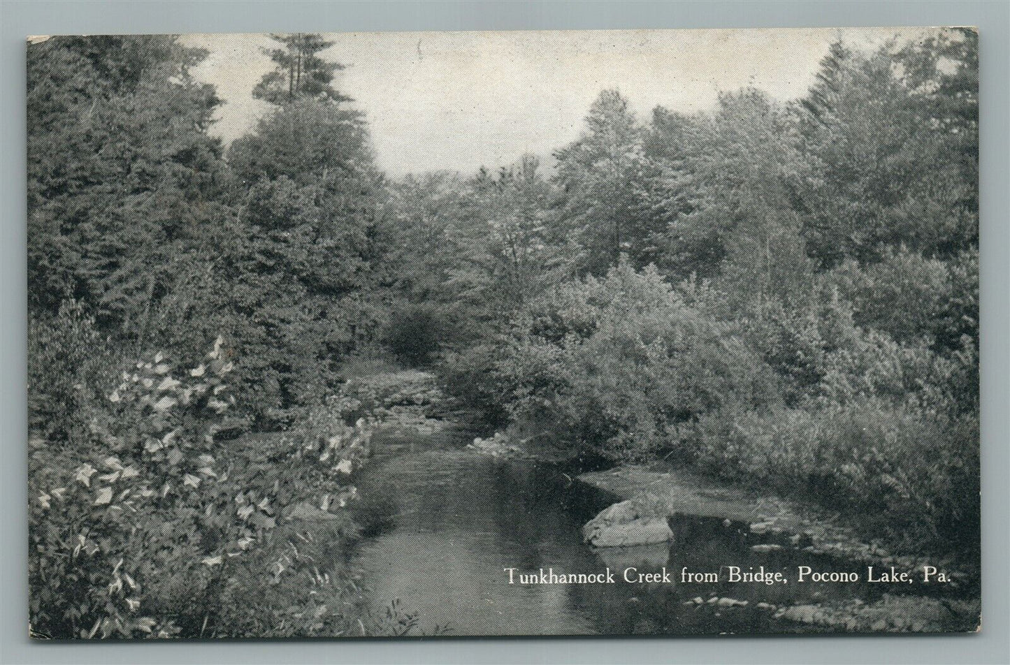 POCONO LAKE PA TUNKHANNOCK CREEK ANTIQUE POSTCARD