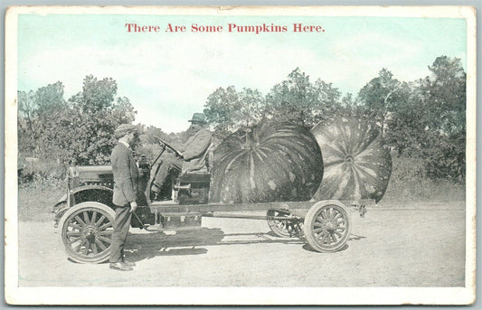 EXAGGERATED 1921 ANTIQUE POSTCARD PUMPKINS