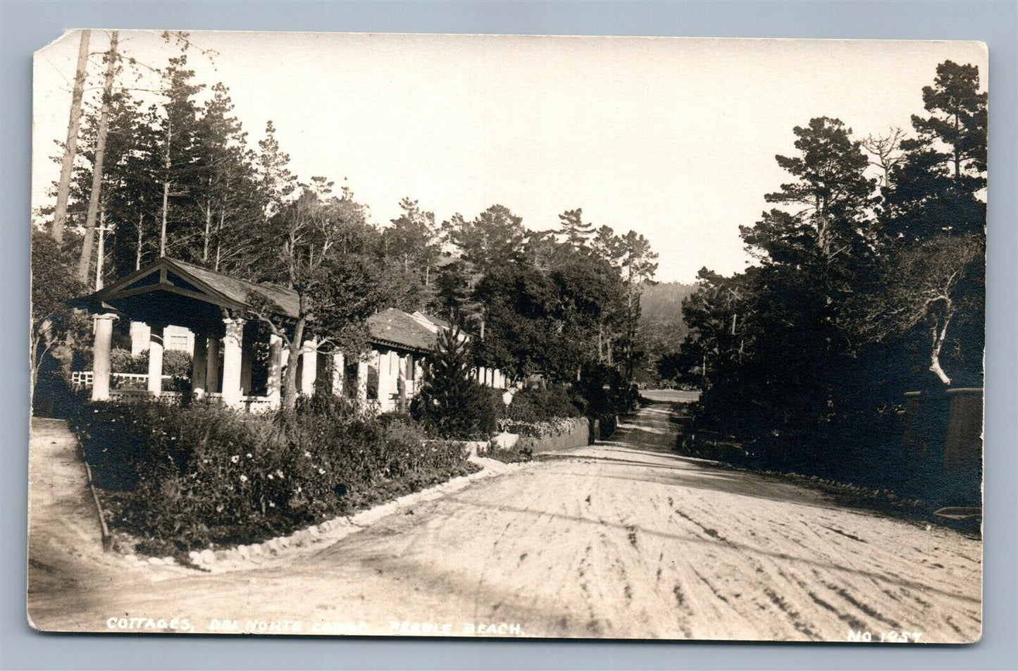 PEBBLE BEACH CA DEL MONTE LODGE COTTAGES ANTIQUE REAL PHOTO POSTCARD RPPC