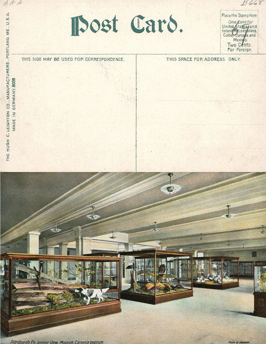 PITTSBURG PA CARNEGIE INSTITUTE MUSEUM ANTIQUE POSTCARD