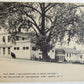 FLO-JEAN RESTAURANT PORT JERVIS N.Y. VINTAGE POSTCARD