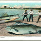 EXAGGERATED FISHING 1928 VINTAGE POSTCARD DAY'S CATCH