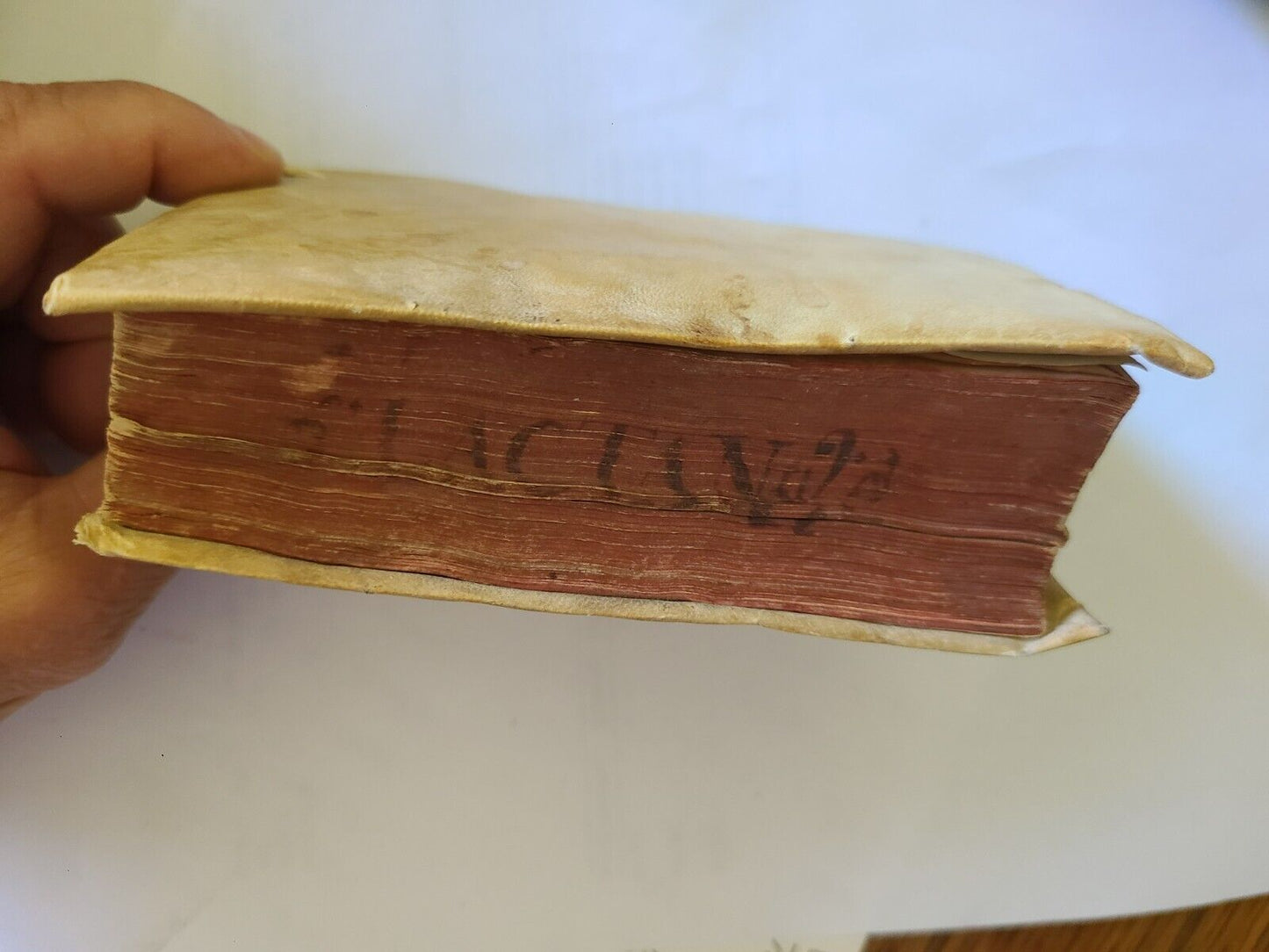 1556 Divinarum institutionum by LACTANTIUS antique VELLUM BOUND