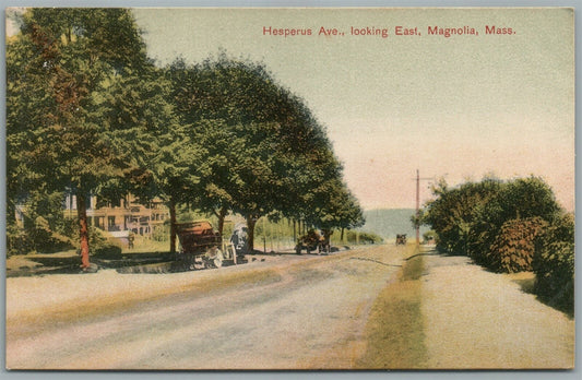 MAGNOLIA MA HESPERUS AVE. ANTIQUE POSTCARD