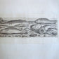 1610 PISCIUM VIVAE ICONES antique 20 ENGRAVINGS by ADRIAEN COLLAERT scarce