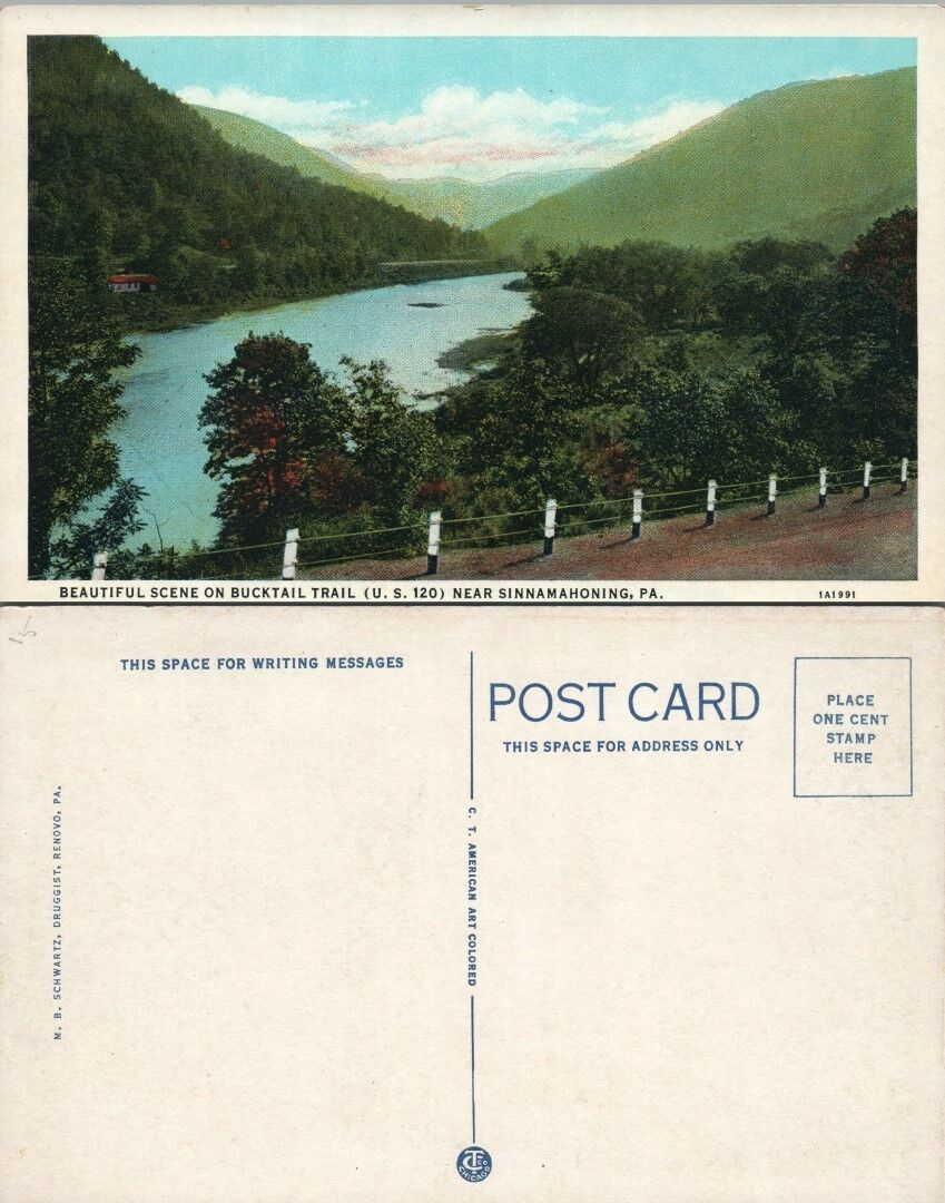 VINTAGE POSTCARD BUCKTAIL TRAIL US-120 NEAR SINNAMAHONING PA