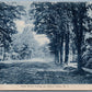 CHERRY VALLEY NY ALDEN STREET 1908 ANTIQUE POSTCARD