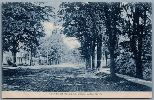 CHERRY VALLEY NY ALDEN STREET 1908 ANTIQUE POSTCARD