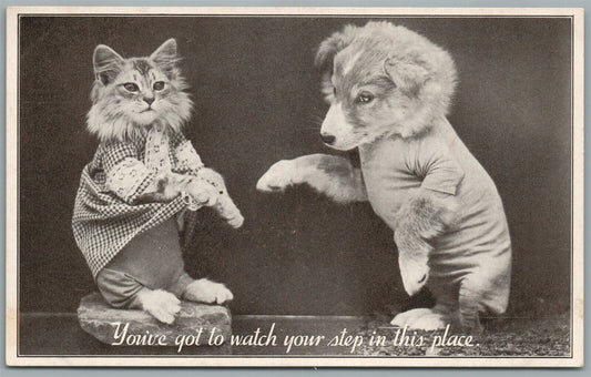 DRESSED CAT & DOG ANTIQUE POSTCARD