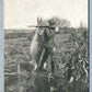 VOLGA SD EXAGGERATED HUNTING 1912 ANTIQUE POSTCARD