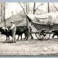 MARIETTA OH OX TEAM & HISTORICAL MOUND VINTAGE REAL PHOTO POSTCARD RPPC