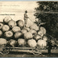 EXAGGERATED TEXAS APPLES 1909 ANTIQUE REAL PHOTO POSTCARD RPPC w/ CORK CANCEL