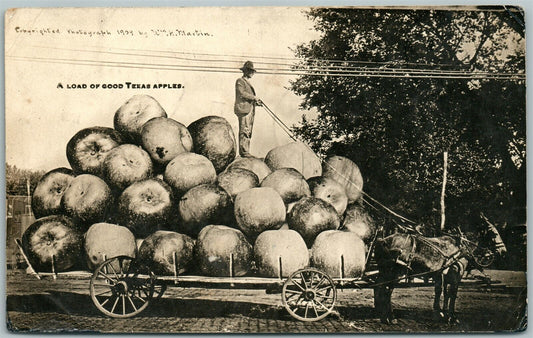 EXAGGERATED TEXAS APPLES 1909 ANTIQUE REAL PHOTO POSTCARD RPPC w/ CORK CANCEL