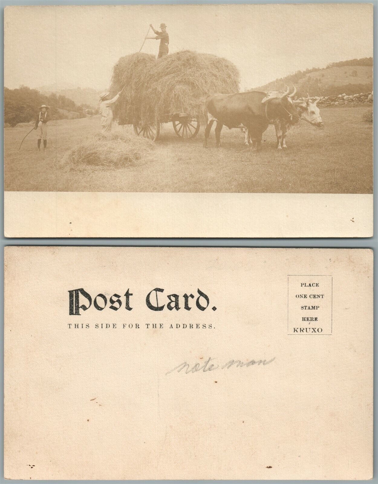 FARMING SCENE ANTIQUE REAL PHOTO POSTCARD RPPC