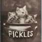 PICKLES BOWLS of KITTENS ANTIQUE POSTCARD