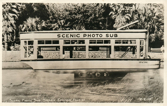 SILVER SPRINGS FL SCENIC PHOTO SUB ANTIQUE REAL PHOTO POSTCARD RPPC