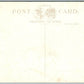 SUNBURY PA THEATRE AT ROLLING GREEN PARK ANTIQUE POSTCARD