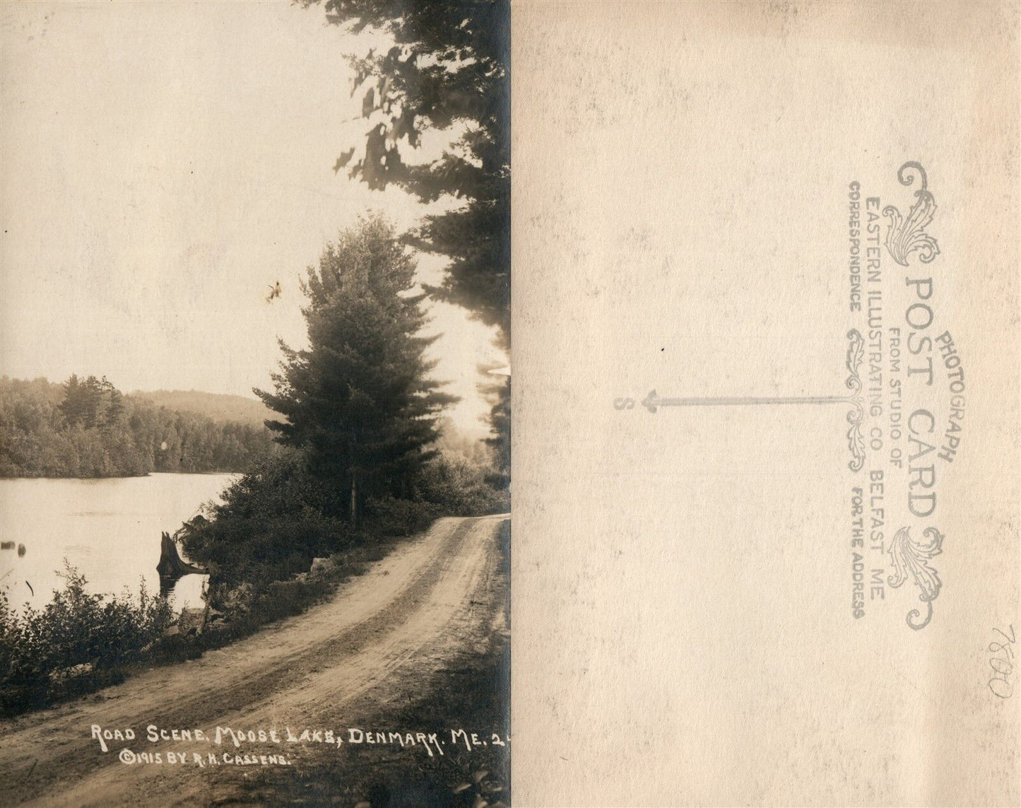 DENMARK ME MOOSE LAKE ROAD SCENE ANTIQUE REAL PHOTO POSTCARD RPPC