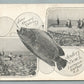 LAURENCE HARBOR NJ FISHING ANTIQUE POSTCARD