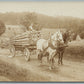 LOGGING VILLAGE SCENE w/ HORSE DRAWN WAGON ANTIQUE REAL PHOTO POSTCARD RPPC