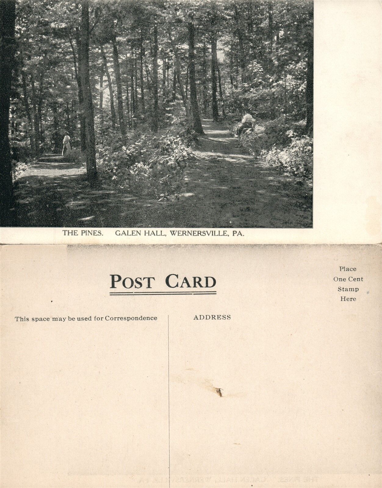 WERNERSVILLE PA GALEN HALL hotel THE PINES ANTIQUE POSTCARD