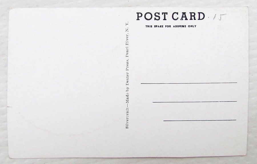 VINTAGE POSTCARD EAST DONEGAL SPRINGS LANCASTER PA