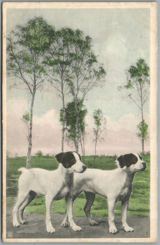 HUNTING DOGS ANTIQUE POSTCARD